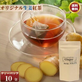 お徳用 生姜紅茶 10TB インド 紅茶 ティーバッグ インド 生姜 生姜紅茶 ジンジャーティー ジンジャー チャイ ティーパック ティーバック ダージリンティー アッサムティー アッサム紅茶 紅茶のギフト 美味しい紅茶 紅茶パック アールグレイ紅茶 誕生日