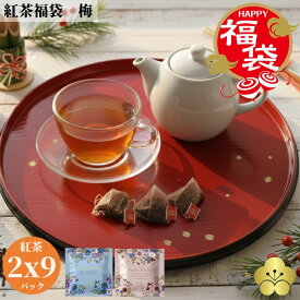 【福袋 数量限定 売切次第終了 】 竹 紅茶 福袋 お得 ティーバッグ チャイ 新春 お買い物マラソン 手作り 風味豊か こだわり素材 おもてなし 厳選 お正月 団欒 特選 お好み セット ギフト 詰め合わせ 贅沢 ティータイム お土産 お取り寄せ 帰省 本格 お楽しみ