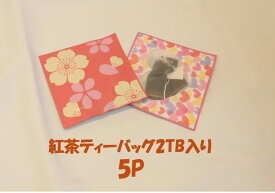 【初回限定】【送料無料】 お買い物マラソン 紅茶 初回購入限定 お試し 送料無料 紅茶 ティーバッグ 2TB 8g 5袋 ティーパック ダージリン アールグレイ ニルギリ ウヴァ アッサム キャンディ キーマン ピーチ オレンジ 美味しい紅茶 高級紅茶 選べる お得 おいしい 限定