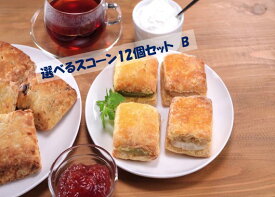 選べるスコーン 12個 セット B スコーン 取り寄せ 絶品 お取り寄せ 詰め合わせ 美味しい ギフト 夏ギフト 菓子 洋菓子 焼き菓子 焼きがし 美味しい菓子 スイーツ 焼き菓子セット 洋菓子セット アフタヌーンティー 手土産 スコーンセット 美味しいお菓子 お取り寄せスイーツ