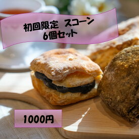 夏休み スコーン 初回購入限定 お試し 小麦粉とバターが香るザクザクスコーン6個袋入り