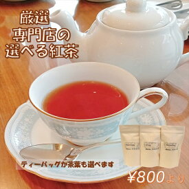 お徳用 選べる紅茶 50g 80g 10TB インド 紅茶 ティーバッグ インド ダージリン ニルギリ ウヴァ ウバ アッサム アールグレイ ティーパック ティーバック ダージリンティー アッサムティー アッサム紅茶 夏ギフト 紅茶のギフト 美味しい紅茶 紅茶パック アールグレイ紅茶