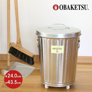 yP10{!z y[J[cXzOBAKETSU (IoPc) M22 E KM22 i19L TCY E 19L TCY LX^[t E Vo[j