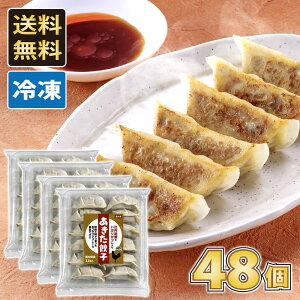 yEzLq m48nn{ƂԂ肪yvⓀz  Hc  AL^ AKITA Lq 傤 MEU Ԃ肪 n{ Y HcY 