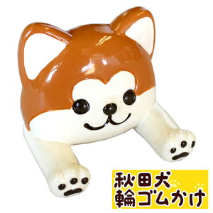 輪ゴム マグネットの人気商品 通販 価格比較 価格 Com 輪ゴム マグネットの人気商品 通販 価格比較 価格 Com