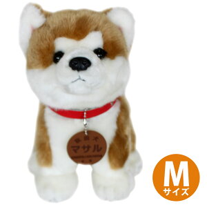 yvВc@lHcۑ FzHc }T ʂ mnMTCYHc  AL^ Hc  ܂ }T ʂ n  ݂₰ yY