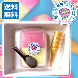 【送料無料】おうちで作れる！児玉冷菓のババヘラアイス手作りセット コーンアイス5個用 【秋田 名物 児玉冷菓の ババヘラ アイス あいす お土産 冷凍 おみやげ ご当地 特産 あきた】