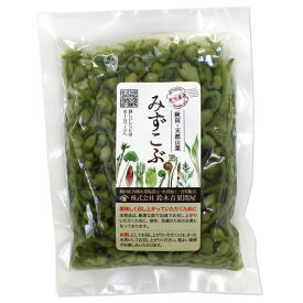 楽天市場 みずの実の通販