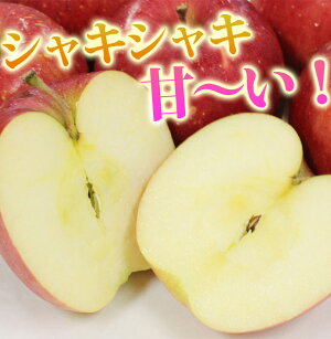 楽天市場 紅あかり 5kg 送料無料 秋田紅あかり 糖度15度以上 5キロ 14 18玉入り ご贈答用秋田県産 送料無料 秋田オリジナル品種 りんご リンゴ 林檎 お土産 果物 フルーツ 秋田のグルメ 逸品 銘店 おばこ