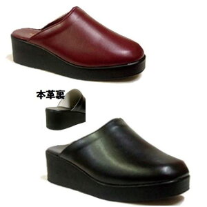 yzTOKUEI T38 gNGC f {v OԂ ܐJo[  { L 4E wl fB[X h[h  ItBX T_