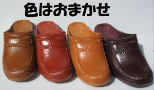 yzF͂܂ ېOKMT }E HEALTH M75 { ֏ gC T_ Xbp am Y x_   OԂ ܐJo[ 