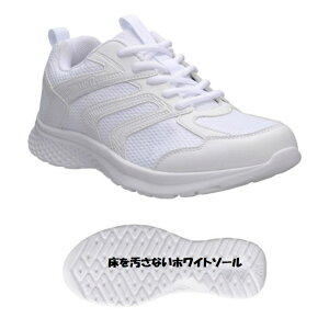 yz ALX X|fBO JN380W 3 H L3E EEE y wl fB[X w ʊw 㗚 Xj[J[ jO i[X V[Y Ōm