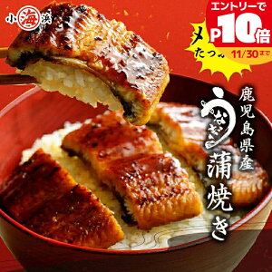 󂠂 K Ղ 1kg Y Vt ȂĂ ȂĂ (140g×7) a 蕨 Y O v[g av[g Hו CN Mtg lCY