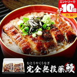 Y Vt Ђ܂Ԃ() 70gx8 (V50g+^20g)ybZ[WJ[hΉz Ȃ VĂ V  a 蕨 Y O v[g av[g Hו CN Mtg l