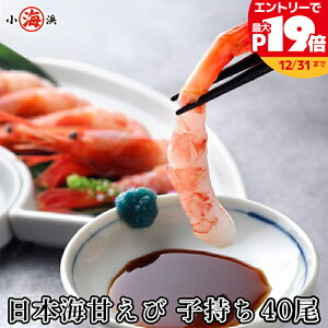 {C ƂꂽĂ𐶂܂ܑD̏ŋ}I Â q 40 ŷΉ yMtge킪ׂĖzybZ[WJ[hΉz a 蕨 Y O v[g a