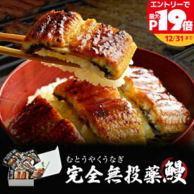 鹿児島県産 うなぎ蒲焼き 約65g×10パック 16パック 鰻師 【ギフト対応】 【メッセージド無料】 たっぷり うなぎ 【完全無投薬】 誕生日 贈り物 国産 グルメ プレゼント 誕生日プレゼント 食べ物 海鮮 ギフト 小浜海産物