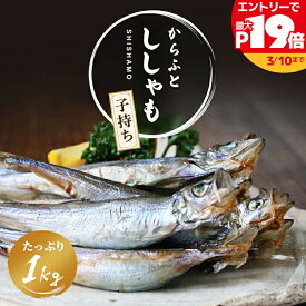 【SS限定最大P19倍】ししゃも 子持ち 国内生産 卵が多い (卵率15%以上) 品質重視 アイスランド産 子持ちからふとししゃも 樺太シシャモ メス 1kg （500g×2袋）バラ凍結 誕生日 贈り物 国産 グルメ プレゼント 誕生日プレゼント 食べ物 海鮮 ギフト 小浜海産物