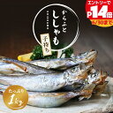 【最大P14倍】ししゃも 子持ち 国内生産 卵が多い (卵率15%以上) 品質重視 アイスランド産 子持ちからふとししゃも 樺…