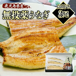 Y S ȂĂ 140g × 1 2 3 ϔ ybZ[WJ[hΉz ŷΉOKz Ȃ V unagi 蕨 Mtg v[g a 