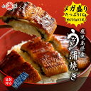 メガ盛り たっぷり 1kg 鹿児島県産 鰻師 うなぎ蒲焼き 200g×5尾 うなぎ 鰻 誕生日 贈り物 国産 グルメ プレゼント 誕生日プレゼント 食べ物 海鮮 ギフト 小浜海産物