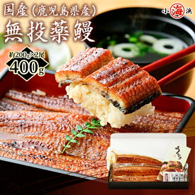 うなぎ 国産 特大 鰻蒲焼き 約200g 1尾 2尾 3尾 鰻 化粧箱 ギフト 高級 安心 無投薬 人気 長蒲焼 2尾セット ウナギ うなぎ蒲焼き 蒲焼 誕生日 贈り物 鹿児島県産 グルメ 中元 お歳暮 プレゼント 土用 丑の日 海鮮 unagi 小浜海産物
