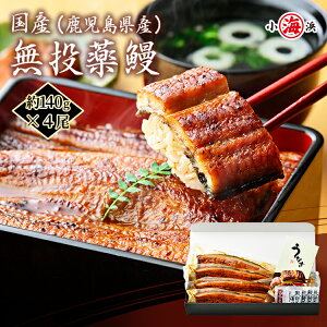 【200円OFFクーポン配布中】うなぎ 国産 鰻蒲焼き 約140g 1尾 2尾 3尾 4尾 鰻 化粧箱入 ギフト 高級 安心 完全無投薬 無投薬人気 うなぎ 長蒲焼 セット ウナギ うなぎ蒲焼き 蒲焼 誕生日 贈り物 鹿
