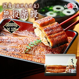 【最大P14倍】ピュアうなぎ 国産 特大 鰻蒲焼き 約200g 1尾 2尾 3尾 鰻 うなぎ 化粧箱 ギフト 高級 安心 無投薬 人気 長蒲焼 2尾セット ウナギ うなぎ蒲焼き 蒲焼 母の日 父の日 誕生日 贈り物 鹿児島県産 グルメ 中元 お歳暮 土用 丑の日 海鮮 unagi 小浜海産物