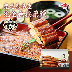 うなぎ 国産 鰻蒲焼き 約140g 1尾 2尾 3尾 4尾 鰻 化粧箱入 ギフト 高級 安心 完全無投薬 無投薬人気 うなぎ 長蒲焼 セット ウナギ うなぎ蒲焼き 蒲焼 誕生日 贈り物 鹿児島県産 贈答 お中元 国産 グルメ プレゼント 土用丑 土用の丑の日 海鮮 unagi 小浜海産物