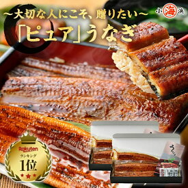 ピュアうなぎ 国産 特大 鰻蒲焼き 約200g 1尾 2尾 3尾 鰻 うなぎ 化粧箱 ギフト 高級 安心 無投薬 人気 長蒲焼 2尾セット ウナギ うなぎ蒲焼き 蒲焼 お中元 中元 土用 丑の日 誕生日 贈り物 鹿児島県産 グルメ日 海鮮 unagi 小浜海産物