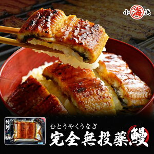 ySzY ȂĂ 65g×1pbN Vt  EiM Ă VĂȂ  a 蕨 Y O v[g av[g Hו CN Mtg lC