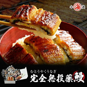 Y ȂĂ 65g×16pbN Vt yMtgΉz ybZ[Whz Ղ16pbN V Ȃ ySz a 蕨 Y O v[g av[g H