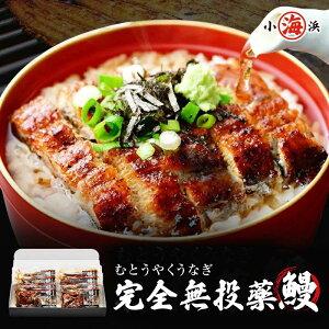 Y Vt Ђ܂Ԃ() 70gx8 (V50g+^20g)ybZ[WJ[hΉz Ȃ VĂ V  a 蕨 Y O v[g av[g Hו CN Mtg l