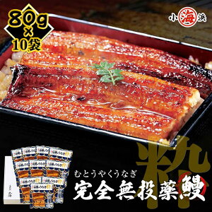 ySzY ȂĂ 80g×10pbN Vt  EiM Ă V Ȃ I[KjbN a 蕨 Y O v[g av[g Hו CN Mtg 