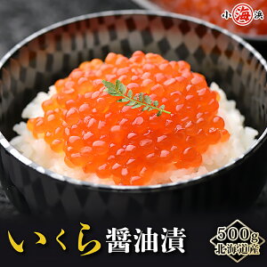 kCY JX vb`Ə_炩ȏ㎿ ݖ 500g 5`6lO kCY a 蕨 Y O v[g av[g Hו CN Mtg lCY