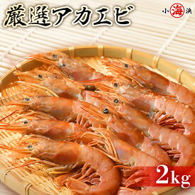 お刺身OK プロの目利きが選んだ厳選 アルゼンチン アカエビ 2L 2kg たっぷり大容量 色々な料理に