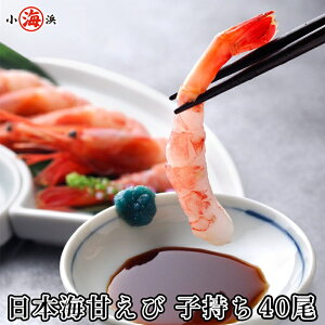 {C ƂꂽĂ𐶂܂ܑD̏ŋ}I Â q 40 ŷΉ yMtge킪ׂĖzybZ[WJ[hΉz a 蕨 Y O v[g a