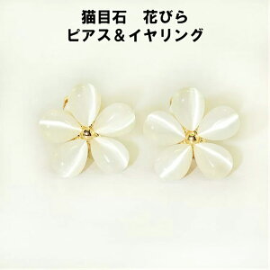  sAX AM[Ή Vo[ o^Cf[ zCgf[ Ԃт sAX CAO ANZT[ Lڐ 925 ItzCg  񎟉 p[eB[ hXR[h 