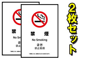 󓮋i΍XebJ[i2ZbgjTCYFW100x150mm