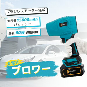 5ByҏI撅15%OFFzu[  15000mAhobe[ [d^[{t@}L^18Vobe[Ή yʏ^ R[hX GA_X^[ |p ͑@ d GA_X^[ 