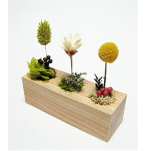 hanaubNEz]^ yvU[uht[ t[AWg CeAt[   G CeA v[g Mtg a LO jz