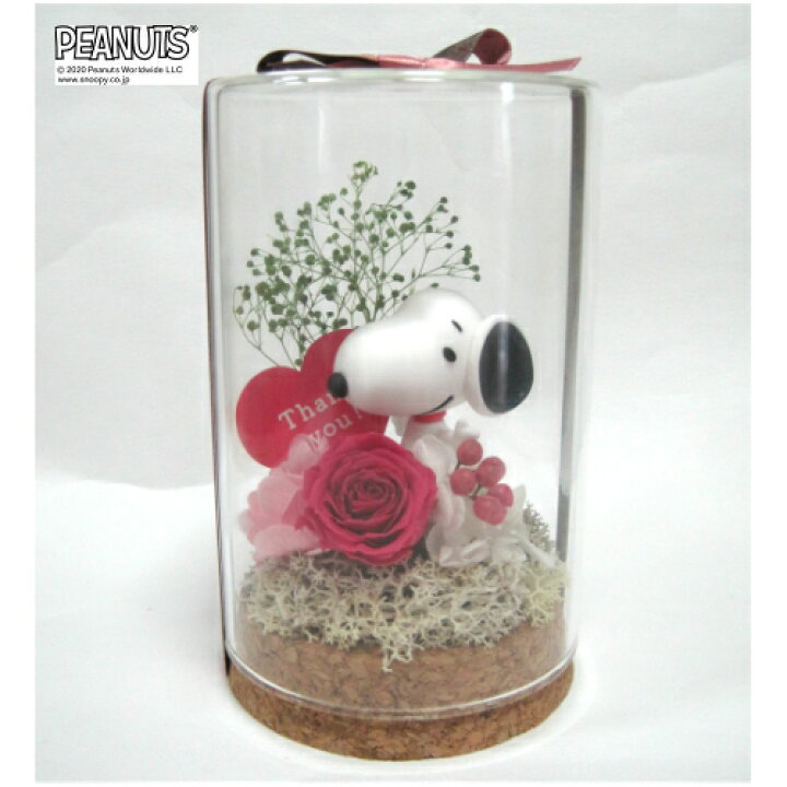 楽天市場 公式ライセンス商品 送料込み スヌーピー ローズ テラリウム Thank You プリザーブドフラワー フラワーアレンジメント アレンジメントフラワー ピンク 花 お花 キャラ スヌーピー 雑貨 インテリア プレゼント ギフト 母の日 誕生日 記念日 お祝い