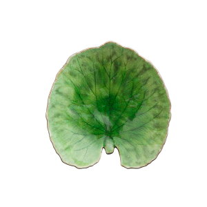 |gK̐HCOSTA NOVA/ RIVIERA AP~[t18cmig}ej/H e[uEGA M M M  t  G CeA v[g Mtg