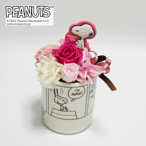 yCZXiz Xk[s[t[ R~bNJbv Thank you sN / vU[uht[ t[AWg   L Xk[s[ ̓ G CeA v