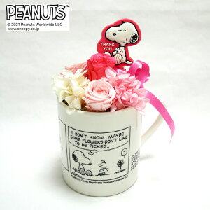 yCZXiz Xk[s[t[ Jbv Thank you sN / vU[uht[ t[AWg   L Xk[s[ G CeA v[g Mtg