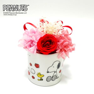 yCZXizXk[s[[Y~jJbvFLOWERiThank youEHappy BirthdayECongratulations) / vU[uht[   t[ t[Mtg L Xk[s[ 킢 G C