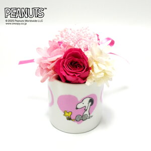 yCZXizXk[s[[Y~jJbvHEARTiThank youEHappy BirthdayECongratulations)/ vU[uht[   t[ t[Mtg L Xk[s[ 킢 G C