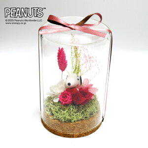 yNEWzyCZXiz Xk[s[ veB n[g eE / vU[uht[ t[AWg AWgt[ sN   L Xk[s