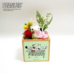 yCZXizXk[s[ gK[f 75th/ vU[uht[ t[AWg AWgt[ bh   L Xk[s[ G CeA v[