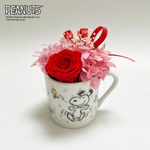 yCZXizXk[s[[Y~jJbvEbh / vU[uht[   t[ t[Mtg L Xk[s[ 킢 G CeA v[g Mtg 