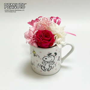 yCZXizXk[s[[Y~jJbvEXgx[ / vU[uht[   t[ t[Mtg L Xk[s[ 킢 G CeA v[g M